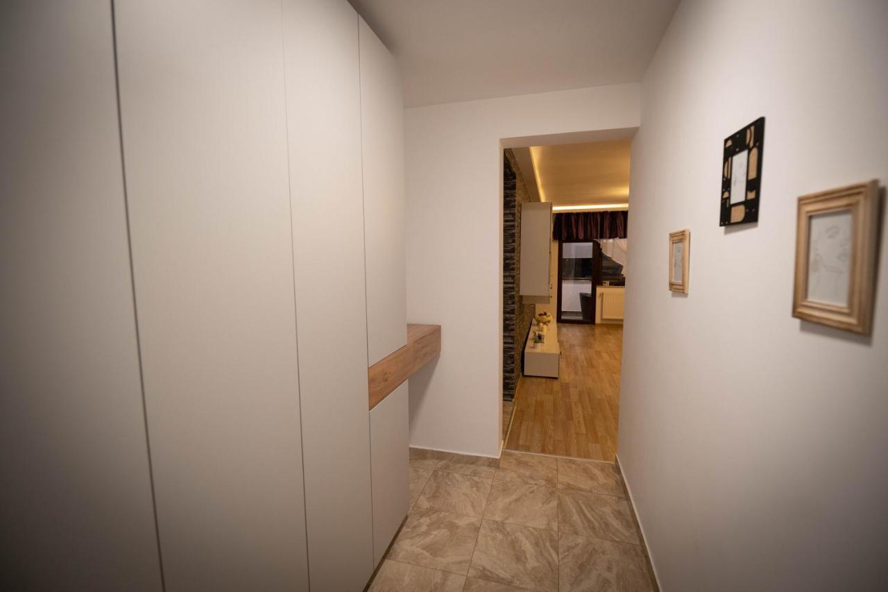 Isaran Coresi Apartment ブラショフ エクステリア 写真
