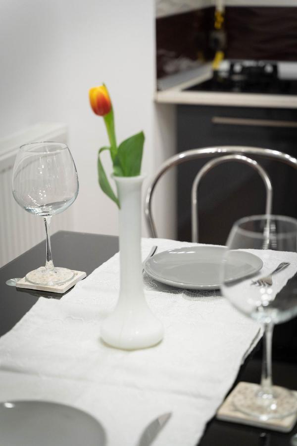 Isaran Coresi Apartment ブラショフ エクステリア 写真