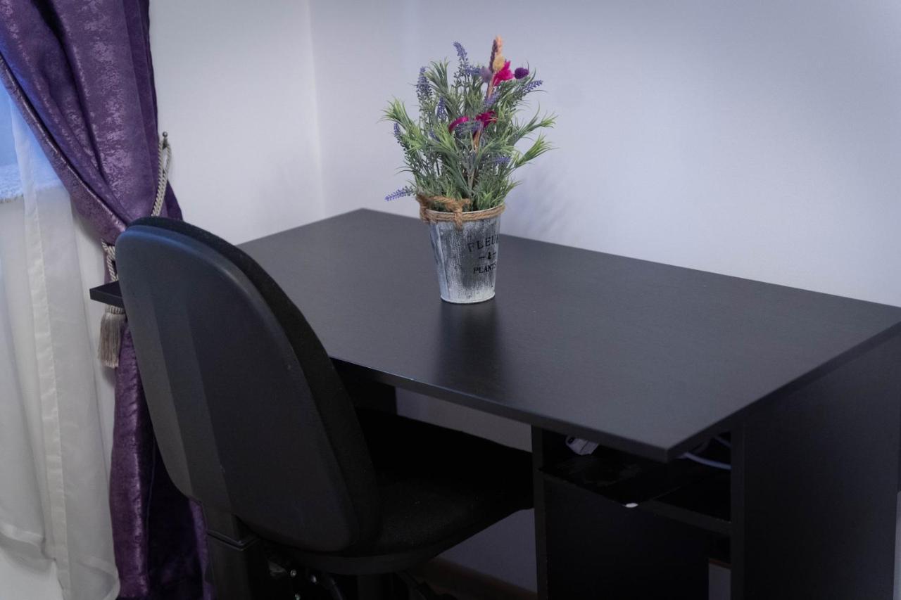 Isaran Coresi Apartment ブラショフ エクステリア 写真