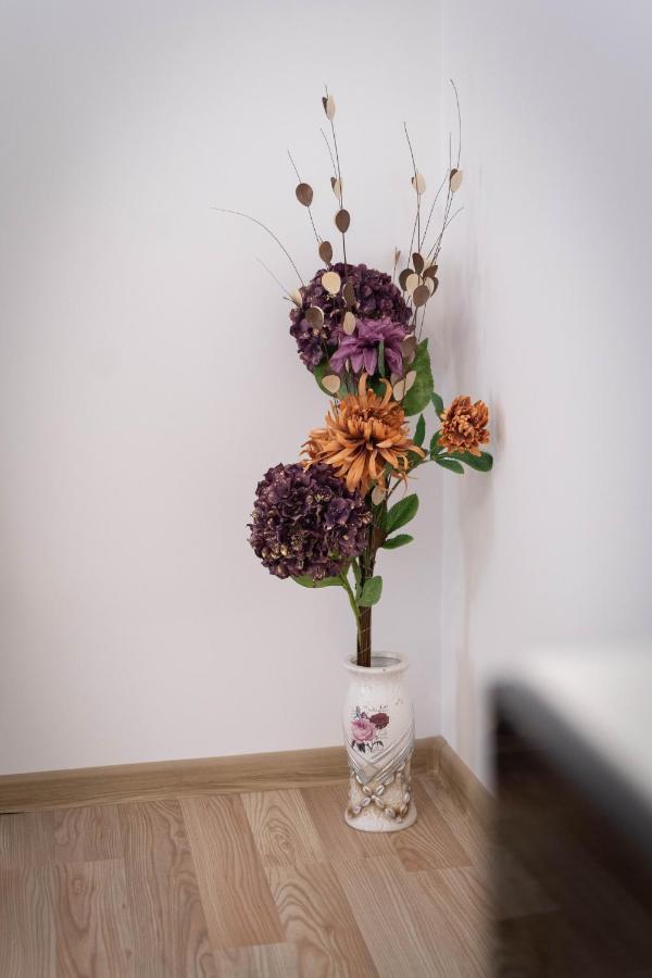 Isaran Coresi Apartment ブラショフ エクステリア 写真