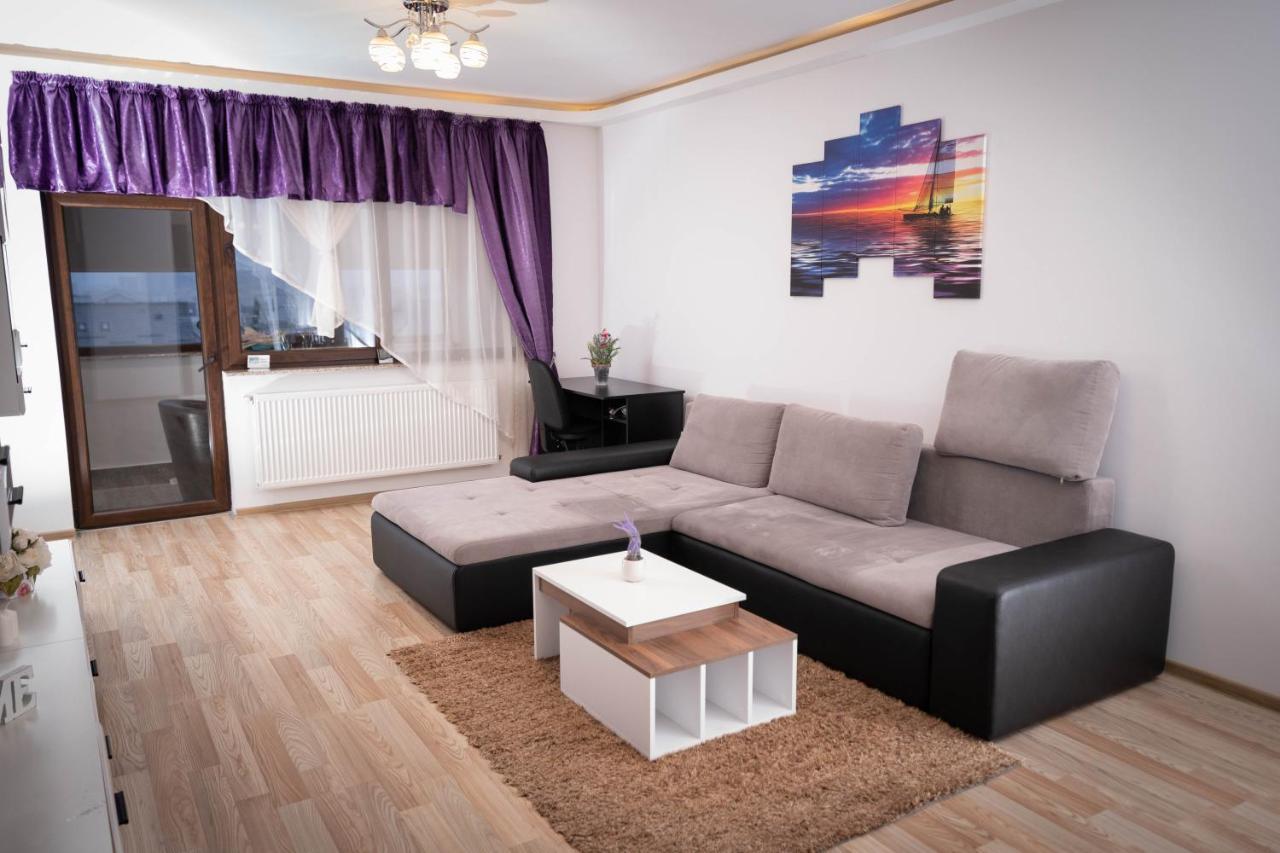 Isaran Coresi Apartment ブラショフ エクステリア 写真
